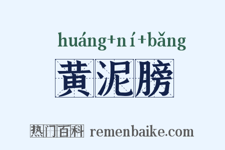 黄泥膀是什么意思的图片